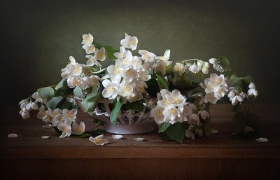 White Jasmine Still Life by Alina Lankina