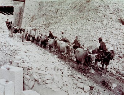 Scene showing marble blocks being transported from a quarry in Carrara. The wagon is being drawn by ten oxen by Fratelli Alinari