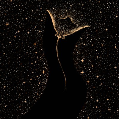 Starry Manta Ray by Alirıza ÇAKIR