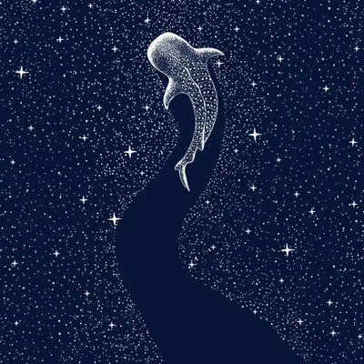 Starry Whale Shark by Alirıza ÇAKIR