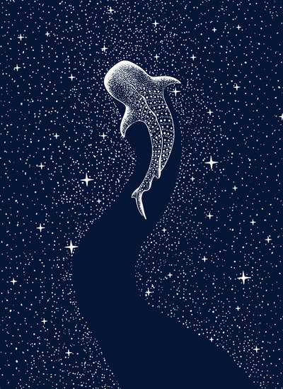 Whale Shark Cosmic Journey by Alirıza ÇAKIR