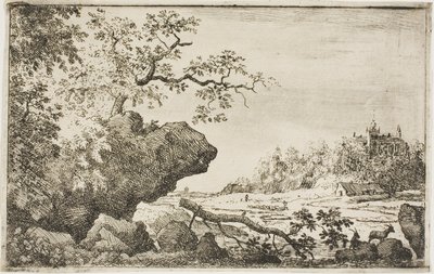 Branch of a Tree by Allaert van Everdingen