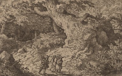A Thick Forest by Allart van Everdingen