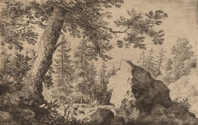 Boulder in the Woods, probably c. 1645-1656 by Allart van Everdingen