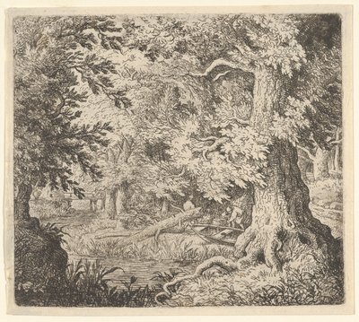 The Brook in the Wood, 17th century by Allart van Everdingen