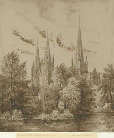 Lichfield Cathedral - South West View by Allen Edward Everitt