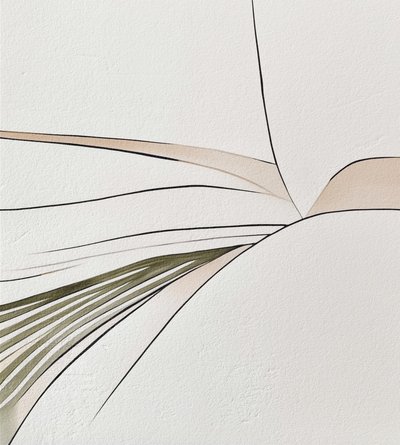 Organic Flowing Forms by Alma