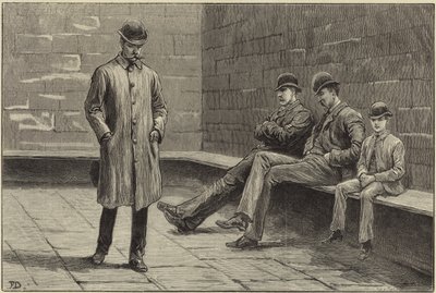 The State of Ireland by Aloysius O