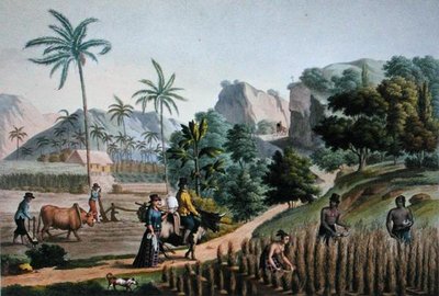 Island of Guam: Agricultural Works, from 