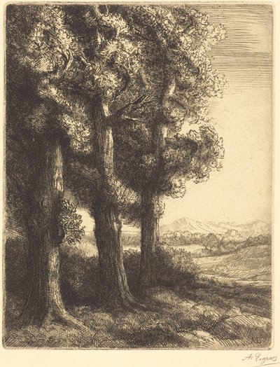 Corner of a Wood by Alphonse Legros