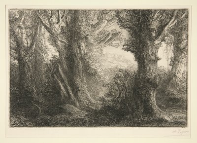 In the Forest of Conteville by Alphonse Legros