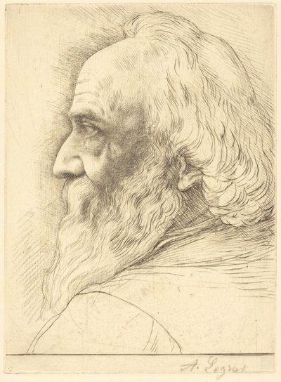 Self-Portrait, 12th Plate by Alphonse Legros