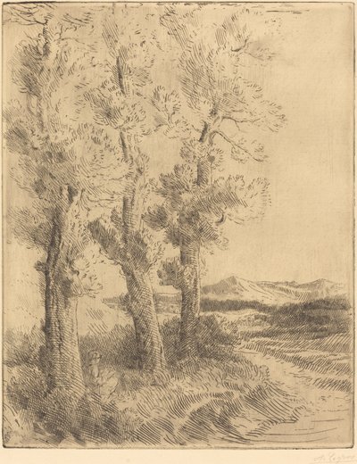 Woman Reading: Lesson under the Trees by Alphonse Legros