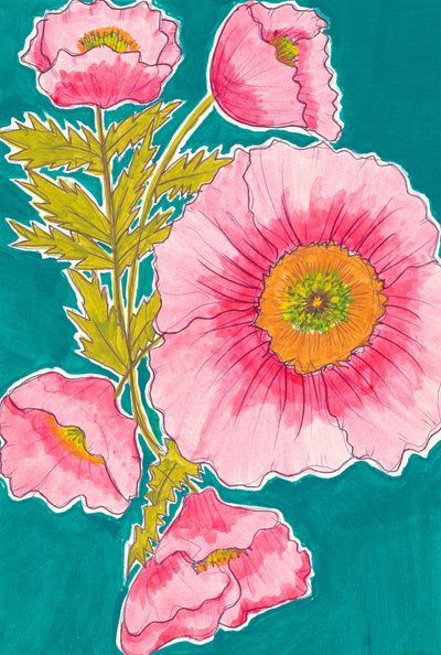 Vibrant Pink Poppies by Alyssa Hamilton