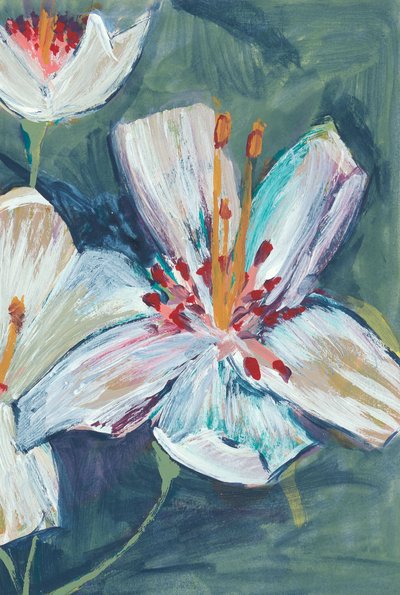 Vibrant White Lily Blooms by Alyssa Hamilton