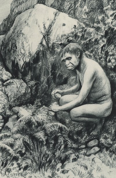 The ancient tenant of the Old Plateau, perhaps ten thousand centuries ago by Amedee Forestier