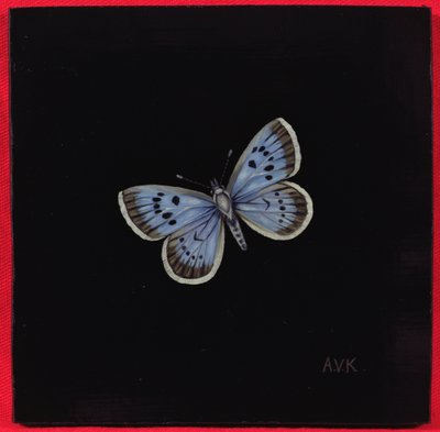 Large Blue Butterfly by Amelia Kleiser