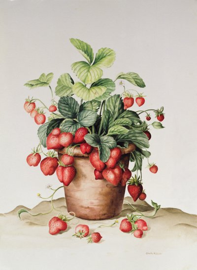 Strawberries in a Pot by Amelia Kleiser