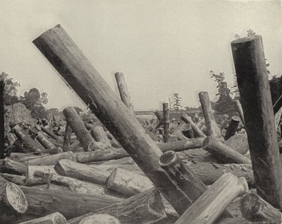 A Log Jam in St Croix River, Wisconsin by American Photographer (after)