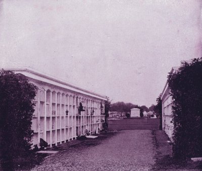 Avenue of Tombs in Washington Cemetery, New Orleans by American Photographer (after)