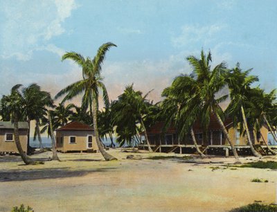 Cottages at Long Key Fishing Camp by American Photographer (after)