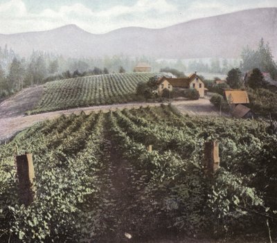 Oregon: Diversified Farming in Willamette Valley by American Photographer (after)