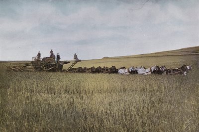 Oregon: Threshing in Eastern Oregon by American Photographer (after)