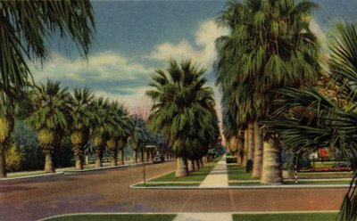 Phoenix, Arizona: North Central Avenue by American Photographer (after)