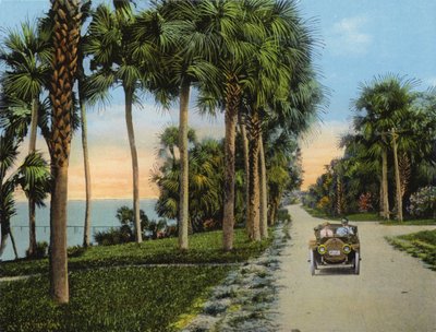 Riverside Drive, Fort Pierce, Florida by American Photographer (after)