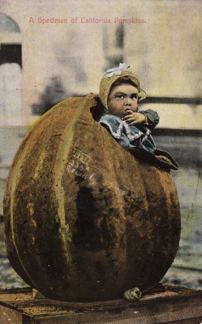 A Specimen of California Pumpkins by American Photographer