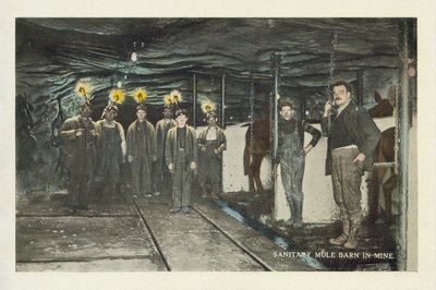 American Coal Mining: Sanitary Mule Barn in Mine by American Photographer
