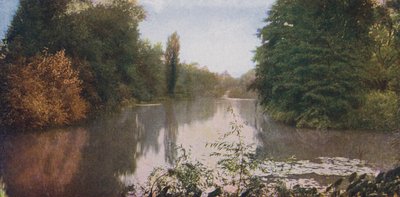 Chicago: Looking Over Lagoon, Washington Park by American Photographer