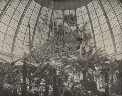 Interior of the Horticultural Dome by American Photographer