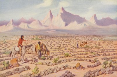 Mystic Maze of the Mojave Indians, Near Needles, California by American Photographer
