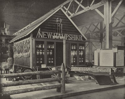 New Hampshire in Agricultural Hall by American Photographer