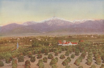Redlands, California, View from Smiley Heights by American Photographer