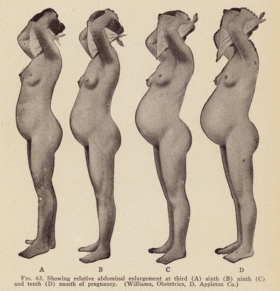 Signs and Symptoms of Pregnancy by American Photographer
