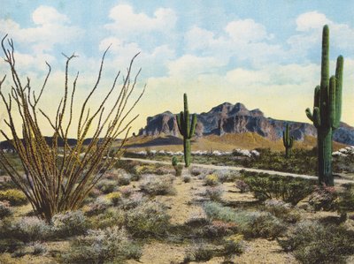 Superstition Mountain and Desert, Apache Trail by American Photographer