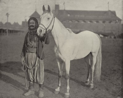 The Bedouin