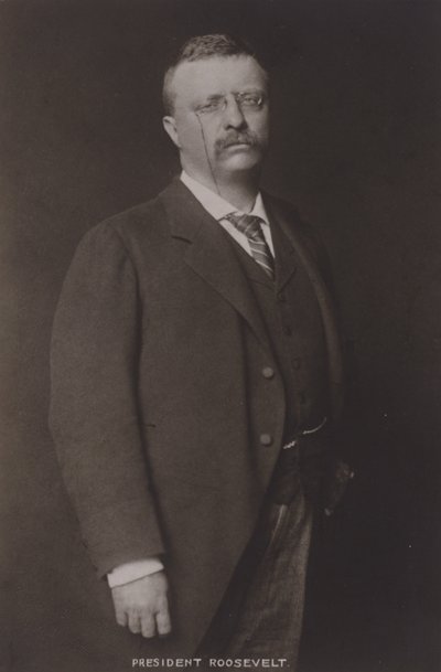 Theodore Roosevelt, 26th President of the United States, 1904 by American Photographer