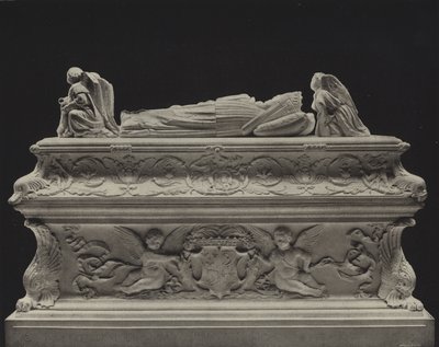 Tomb of the Children of Charles VIII by American Photographer
