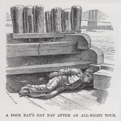 A Dock Rat