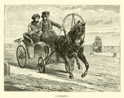 A Drosky by American School