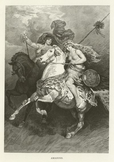 Amazons by American School