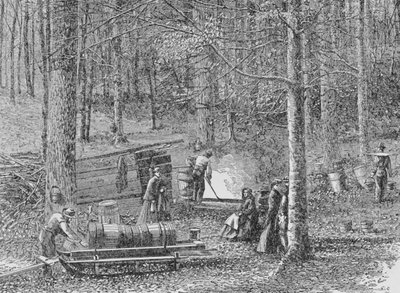 At the Maple Syrup Camp, illustration from 