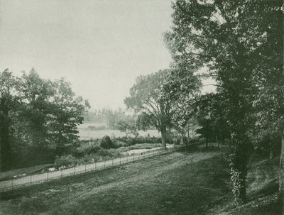 Battlefield of Tippecanoe by American School