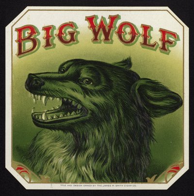 Black Wolf Baring Teeth by American School