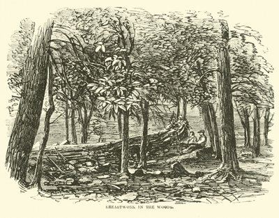 Breastwork in the woods, July 1863 by American School