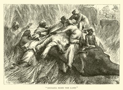 Bringing Home the Game by American School