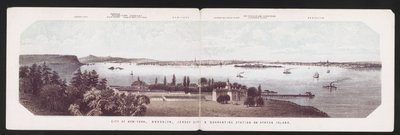 City of New-York, Brooklyn, Jersey City & Quarantine Station on Staten Island, c.1850 by American School